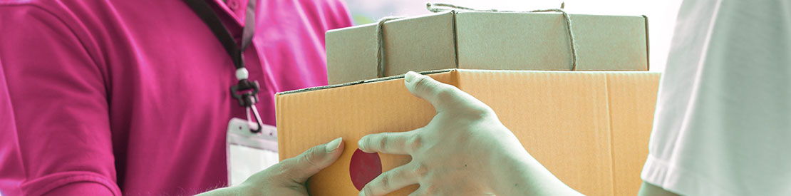 Corporate Scheme Despatch