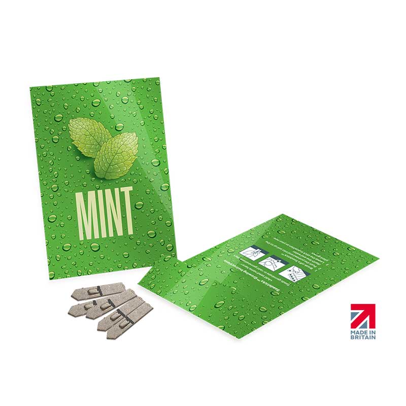 Medium Seed Packet Envelopes - Gloss