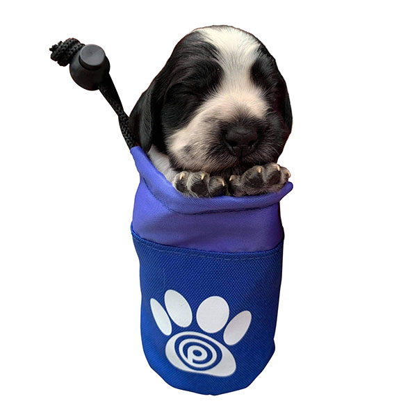 Dog Treat Bag