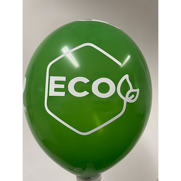 12 Inch Balloons